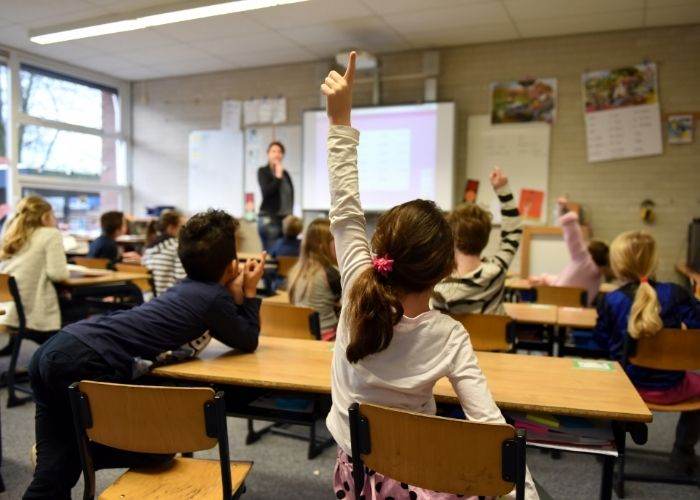 kids raising their hands in class